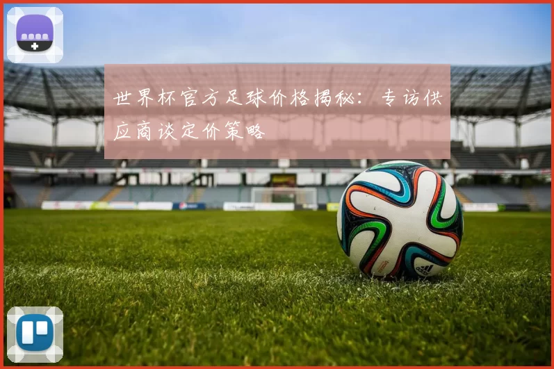 世界杯官方足球价格揭秘：专访供应商谈定价策略