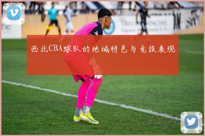 西北CBA球队的地域特色与竞技表现