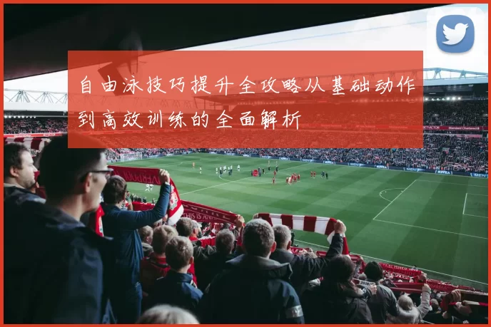 自由泳技巧提升全攻略从基础动作到高效训练的全面解析