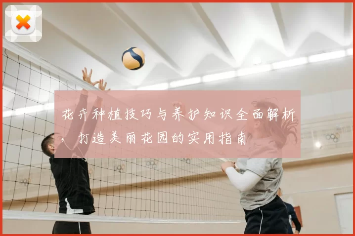 花卉种植技巧与养护知识全面解析,打造美丽花园的实用指南