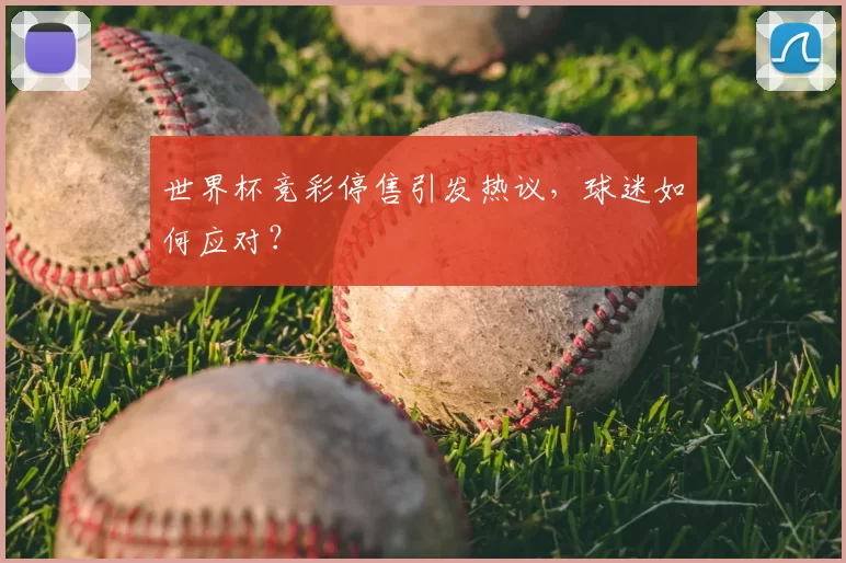 世界杯竞彩停售引发热议，球迷如何应对？