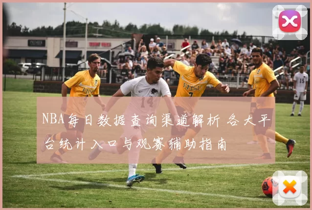 NBA每日数据查询渠道解析 各大平台统计入口与观赛辅助指南
