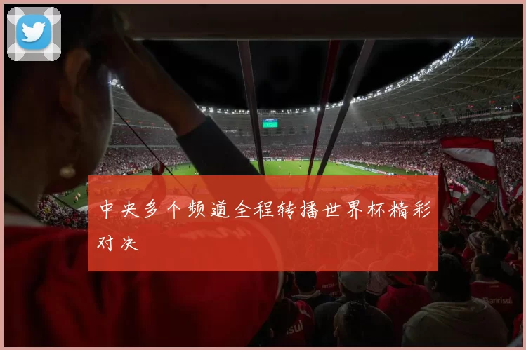 中央多个频道全程转播世界杯精彩对决