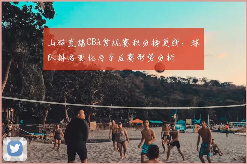 山猫直播CBA常规赛积分榜更新,球队排名变化与季后赛形势分析