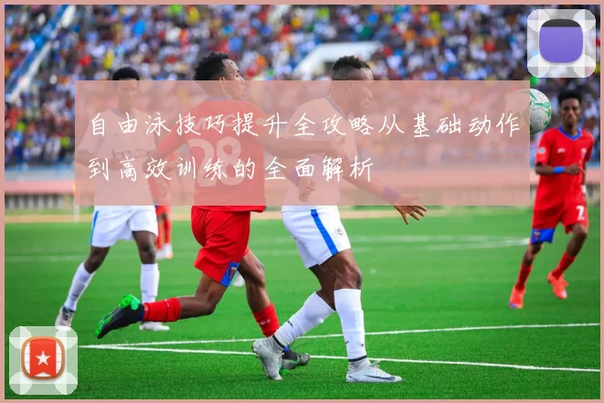 自由泳技巧提升全攻略从基础动作到高效训练的全面解析