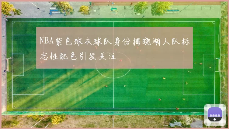 NBA紫色球衣球队身份揭晓湖人队标志性配色引发关注