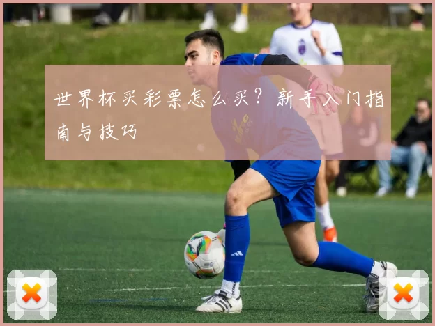 世界杯买彩票怎么买？新手入门指南与技巧