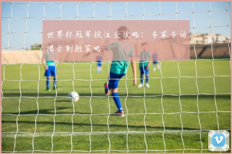 世界杯冠军投注全攻略:专家专访揭示制胜策略