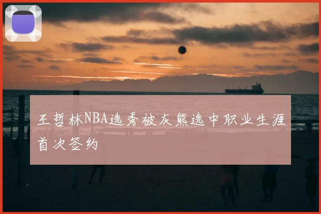 王哲林NBA选秀被灰熊选中职业生涯首次签约