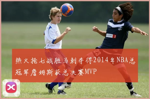 热火抢七战胜马刺夺得2014年NBA总冠军詹姆斯获总决赛MVP