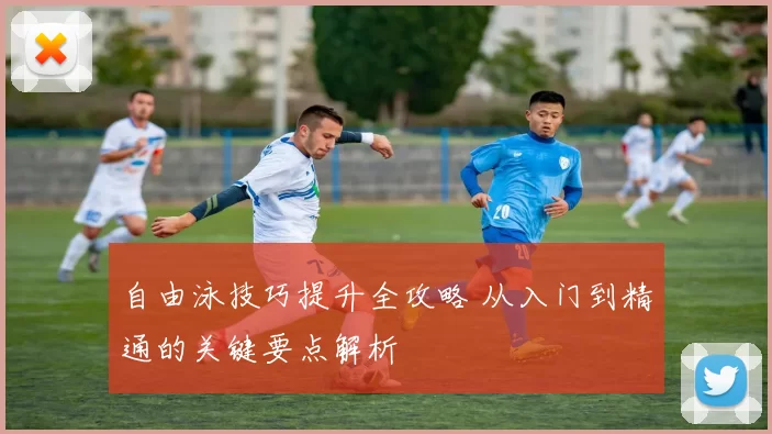自由泳技巧提升全攻略 从入门到精通的关键要点解析