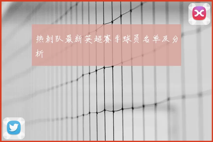 热刺队最新英超赛季球员名单及分析