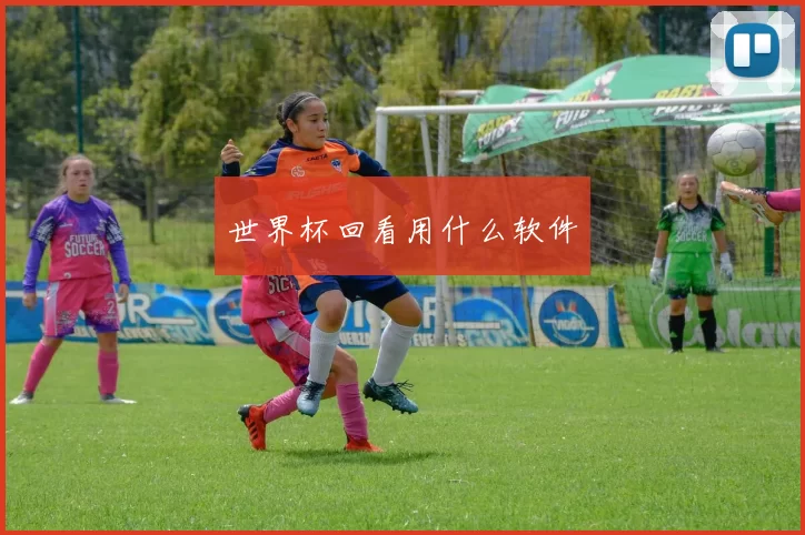 世界杯回看用什么软件