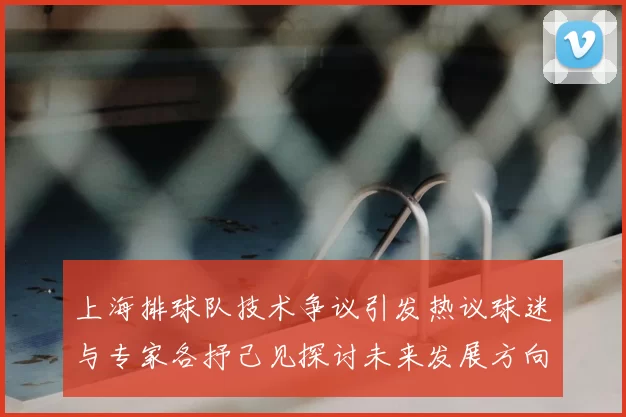 上海排球队技术争议引发热议球迷与专家各抒己见探讨未来发展方向