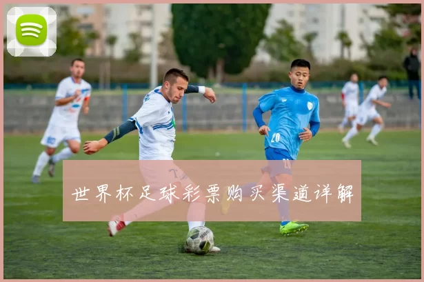 世界杯足球彩票购买渠道详解