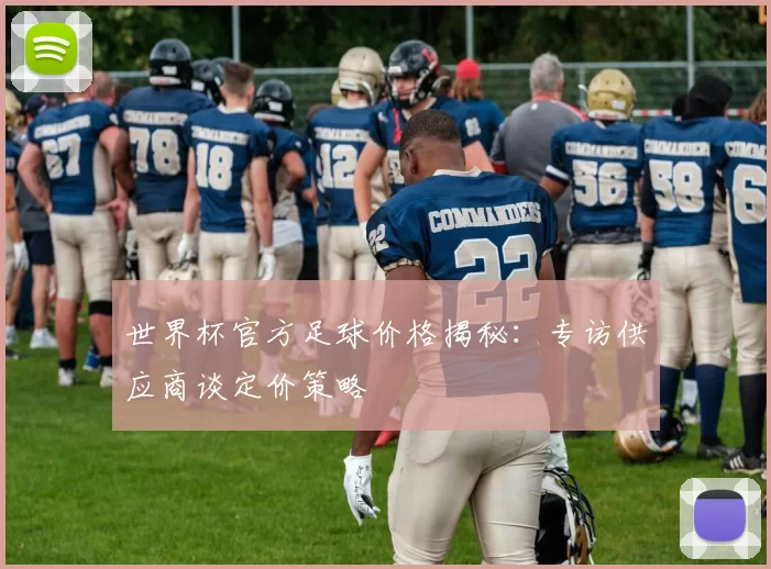 世界杯官方足球价格揭秘：专访供应商谈定价策略