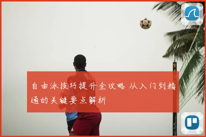 自由泳技巧提升全攻略 从入门到精通的关键要点解析