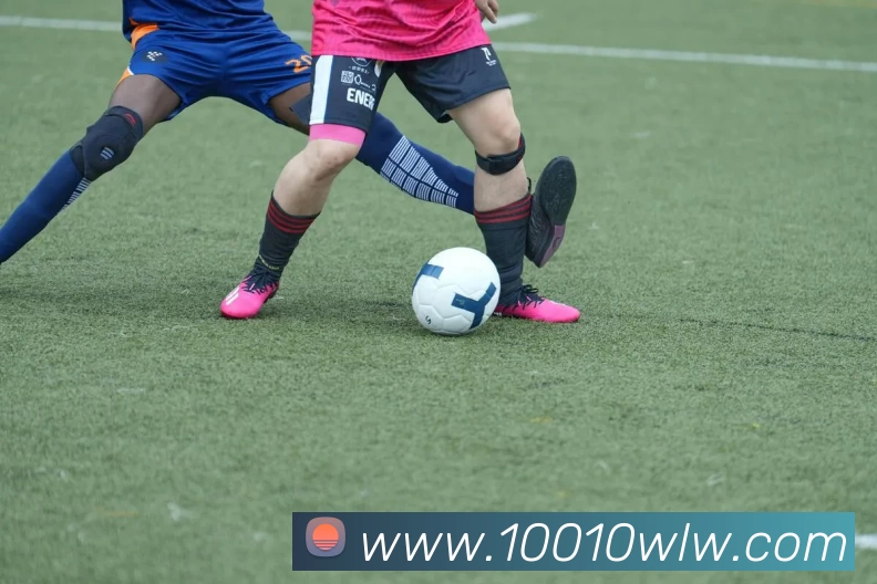 博亚官网发展历程